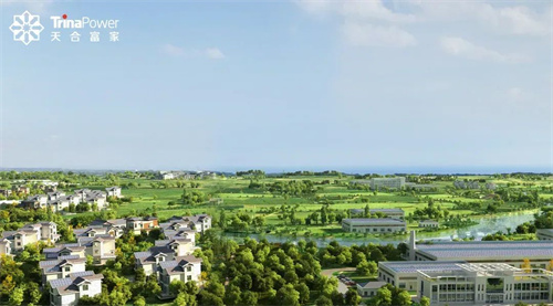 分布式光伏“大浪淘沙” 什么是打造新質(zhì)生產(chǎn)力的關(guān)鍵？