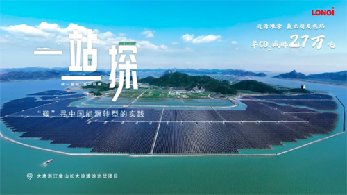 震撼！63.7萬(wàn)塊隆基組件建起灘涂上的鋼鐵森林