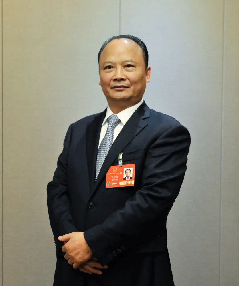 全國人大代表劉漢元：建議擴大國內光伏裝機，推進(jìn) “3060” 目標達成